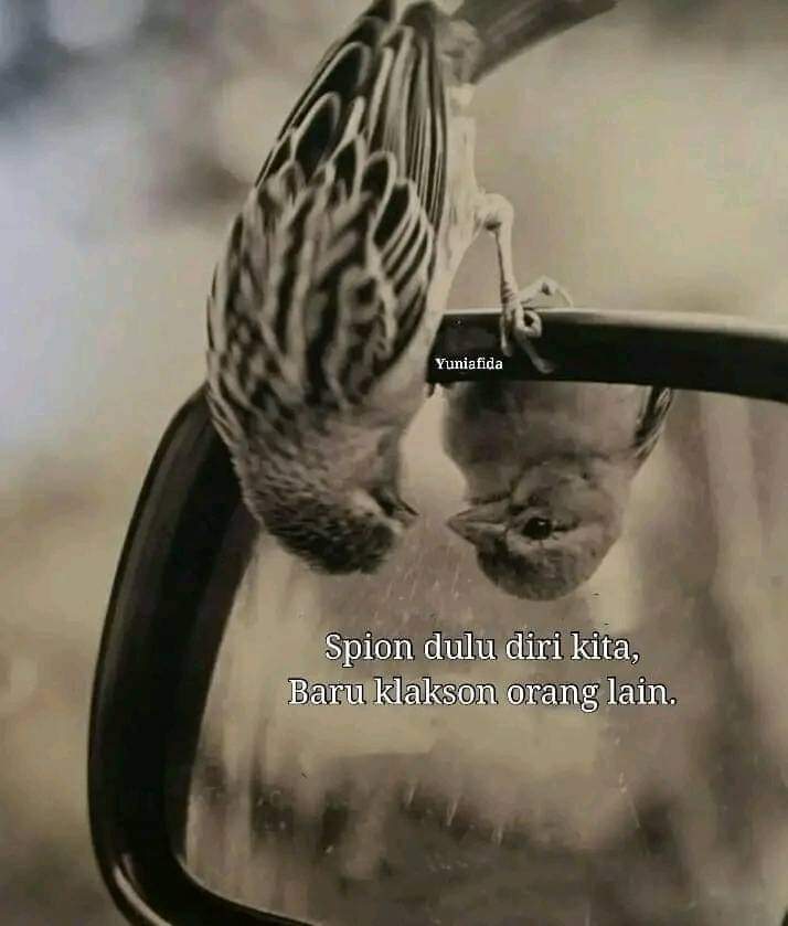 rahabganendra's tweet photo. Bangun tidur jangan lupa ngaca .... biar kl mo menilai orang lain, ingat diri sendiri gak sempurna 🤟
💪 Pagiiii dear 💪
#noquote https://t.co/YIYFnSx9TG