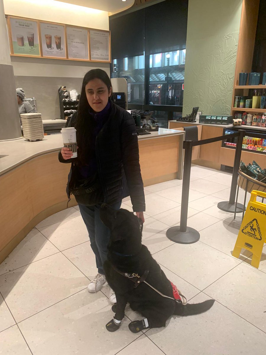 mili_costabel's tweet photo. En USA, si vas a Starbucks podés pedir un pup cup, que es básicamente un vasito de crema batida para perros. Fuimos con un amigo y no nos pudimos resistir. No todo es trabajo en la vida de un perro guía 😊 https://t.co/fcFUipHTDP