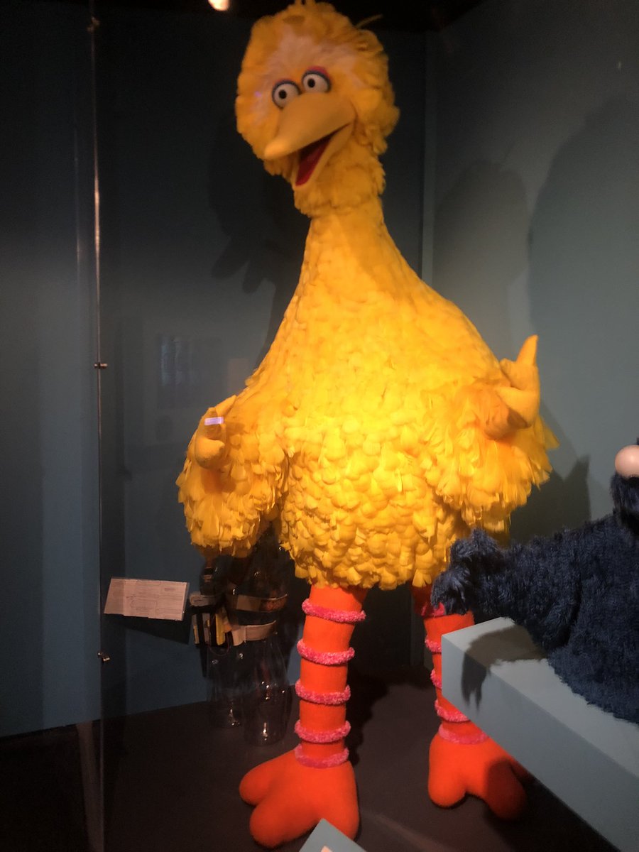 cheesespergers's tweet image. hello #muppetstwt how are you doing (sorry for blurriness my phone cam is fucked rn)