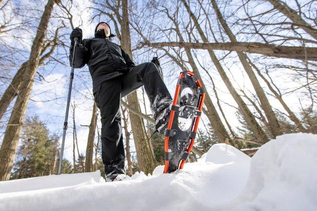Looking for something to do with your kids this Friday? (it's a PA Day).
Everything has come together for a perfect winter PA Day!  We have SNOW!

Bring your own toboggan, skis, discs or snowshoes.

Buy your daily vehicle permits in the morning! reservations.ontarioparks.com