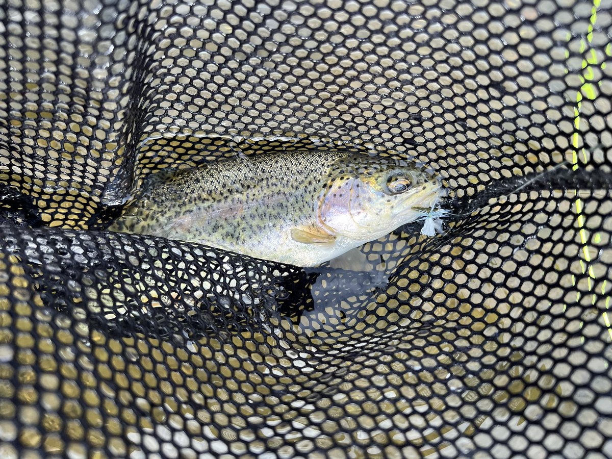 Most relaxing hobby I have