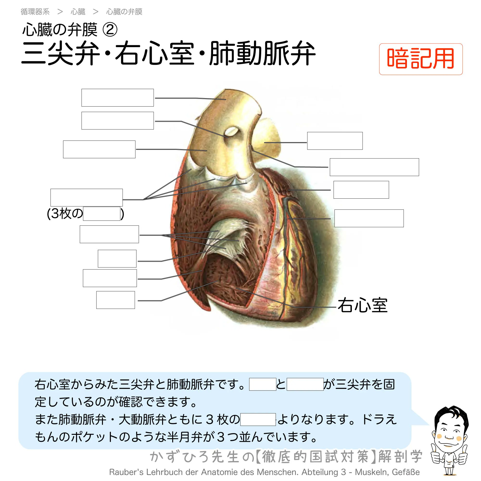 黒澤一弘（かずひろ）解剖学IT教育・指圧師・ラダック on X