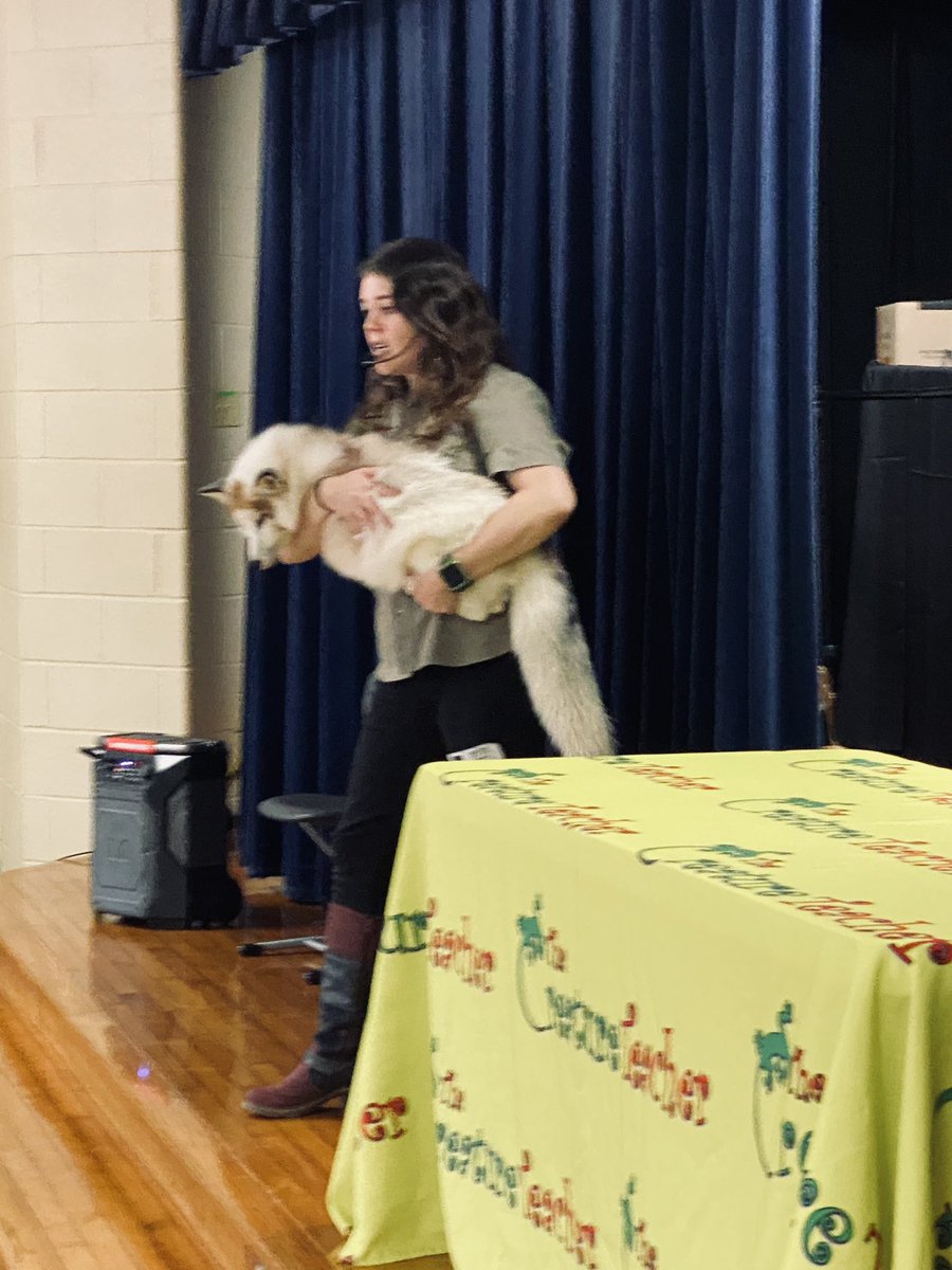 What a wonderful day celebrating all the wonderful community helpers in our town and a visit from some special animals to top the fun. #WlisonWay