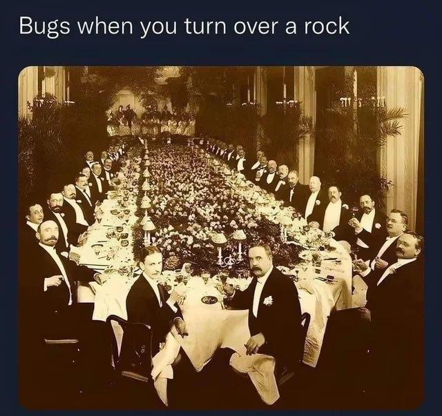 ShitpostGate's tweet photo. https://t.co/x3wPonIxMl