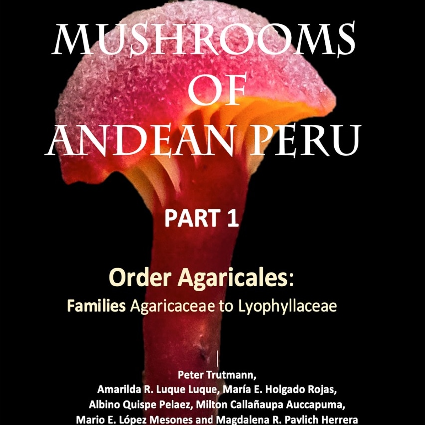 DifferentRoad's tweet photo. A work collecting and processing mushrooms of the Peruvian of data on macrofungal diversity of a reference book entitled: Mushrooms of Andean Peru Part 1.  #thedifferentroad #globalmountainaction #mushrooms
https://t.co/h2KYafx5LO Available at Amazon! https://t.co/OgtjKzZQ7w https://t.co/WU0SqLvKfI