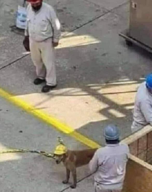 El esfuerzo de hoy, lo verás reflejado mañana