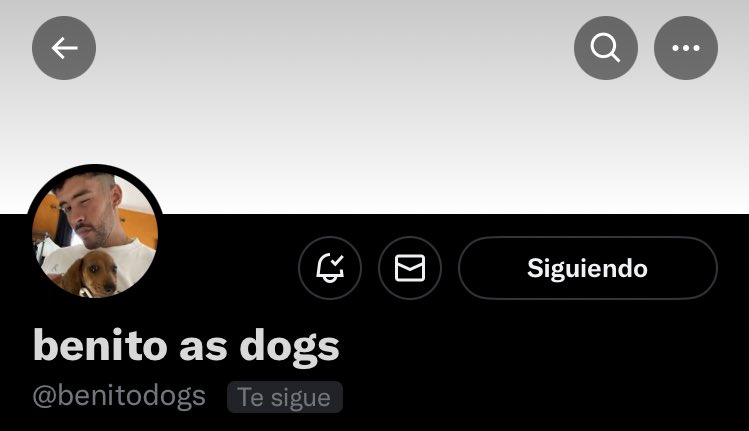 — <a href="/benitodogs/">benito as dogs</a>
