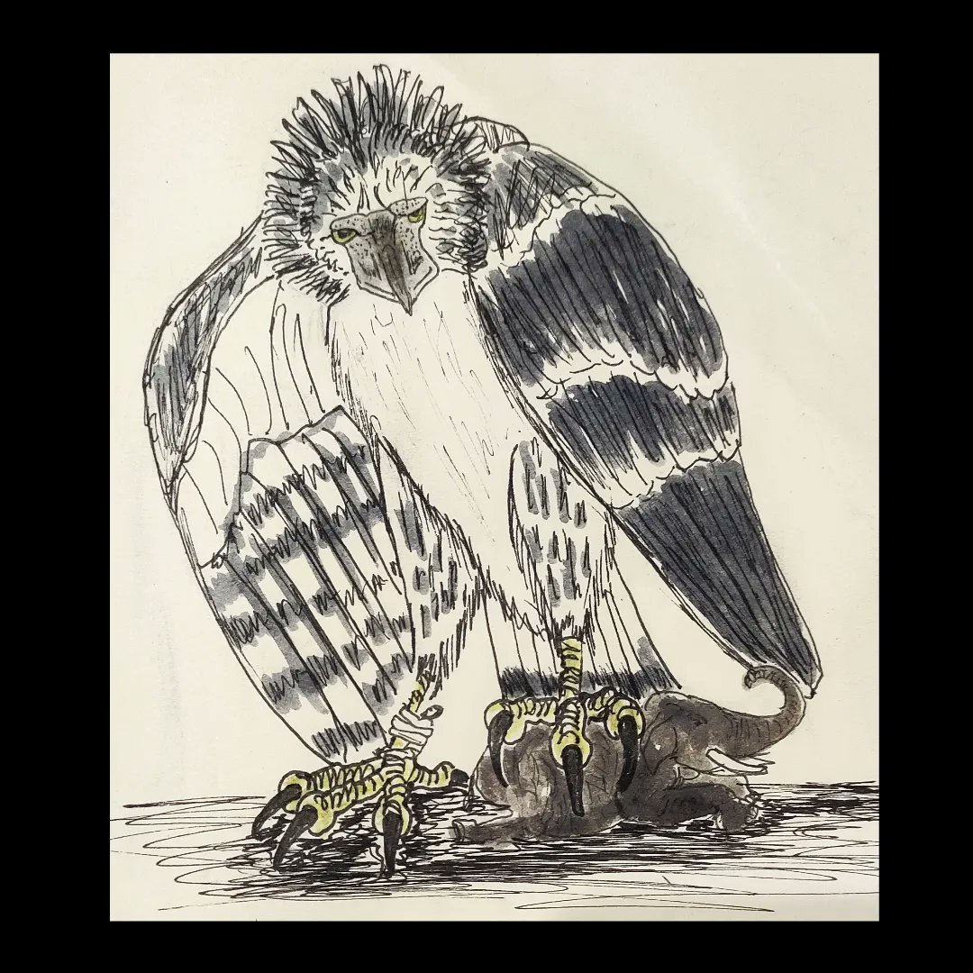 Shikrolao's tweet photo. Roc prey an elephant with Sinbad holding on is leg
#roc
#creatuanary2023
#art #challenge #artofdrawingg #artoftheday #creature #monster #mythology #creaturechallenge #creatuanarypromptlist2021 #sketchbook #onedayonecreature #animalanatomy #conceptart #drawingchallenge https://t.co/OsHnMQ1qgw