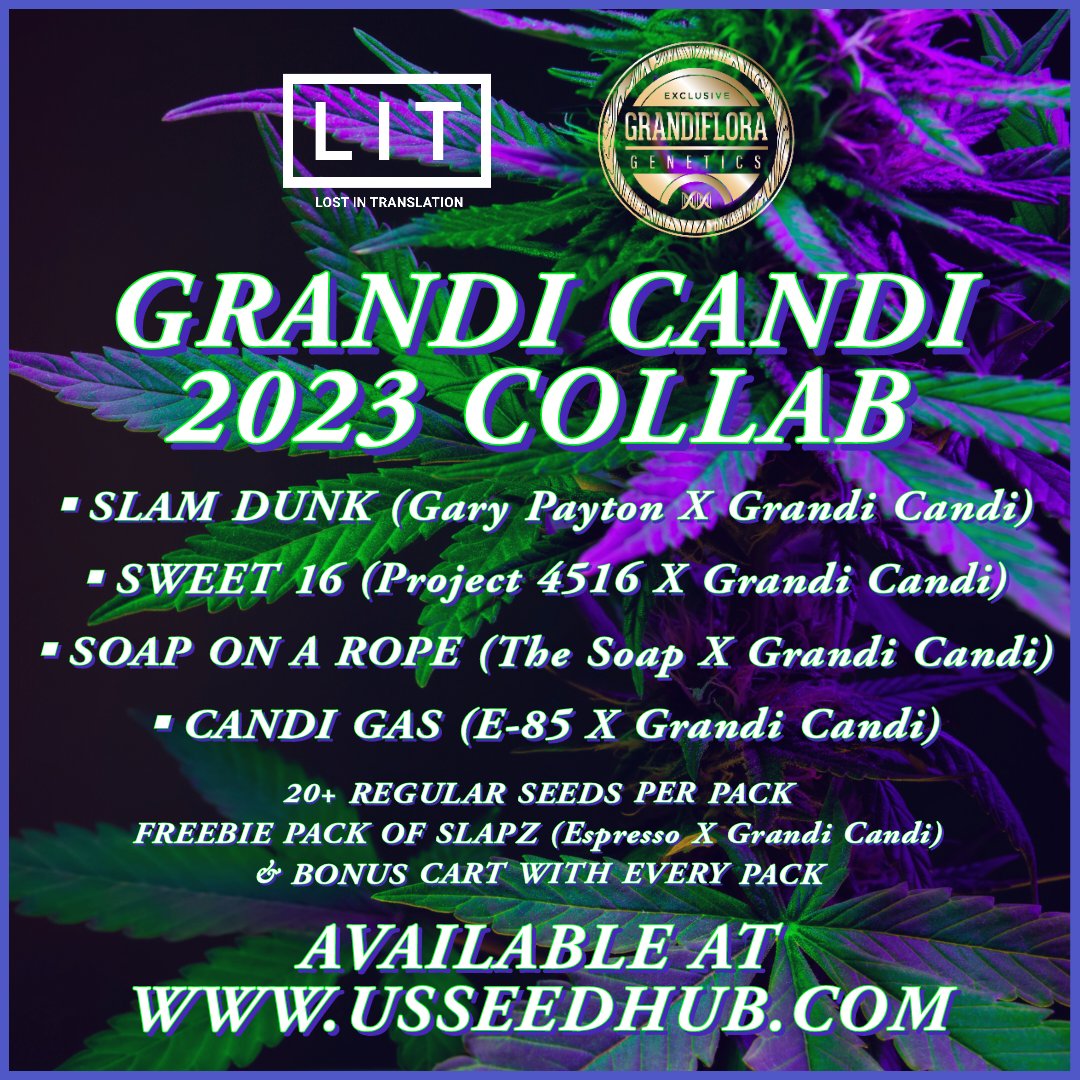 usseedhub's tweet photo. 🔥LIT Farms New Grandi Candi Drop Is Live! Dont Miss Out!🔥

While supplies last at https://t.co/DXvIvpxHWK

#ussh #seedhub #theseedhub #litfarms #grandifloragenetics #grandiflora #grandicandi #lemoncherrygelato #e85 #doggybag #cannabiscommunity #cannacommunity https://t.co/hs5V4dI3Hq