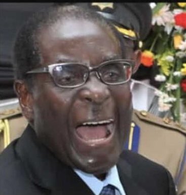 MPrezha's tweet photo. Shona ya @DrivenChapman inekahu Robeti Mugabe. Really connects me with the past 😂 https://t.co/Kl0iYZwROo