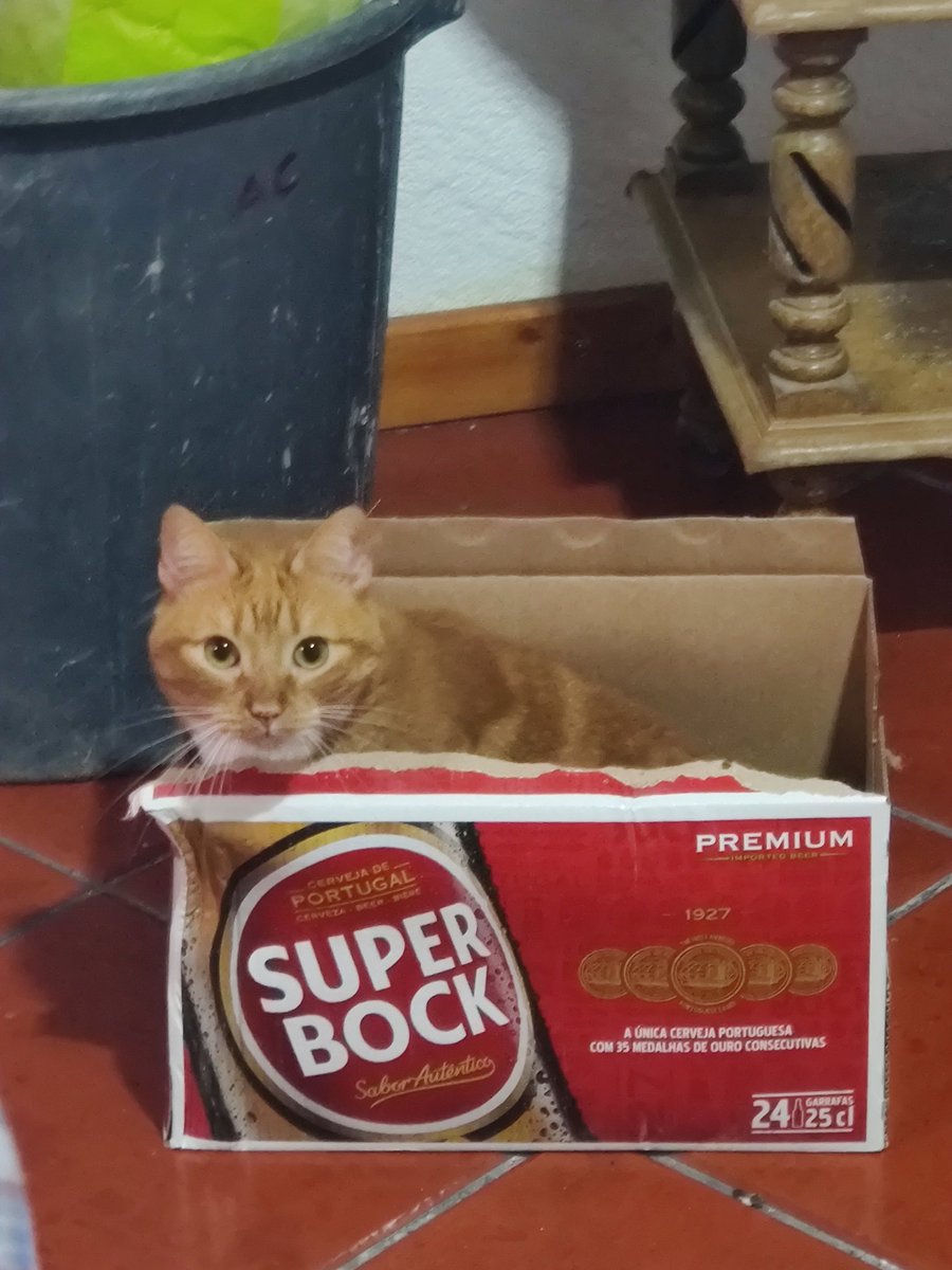 CostaOnFire's tweet photo. Deviam existir mais caixas de super destas 🥺🥺 https://t.co/Gc7fWfhNkN