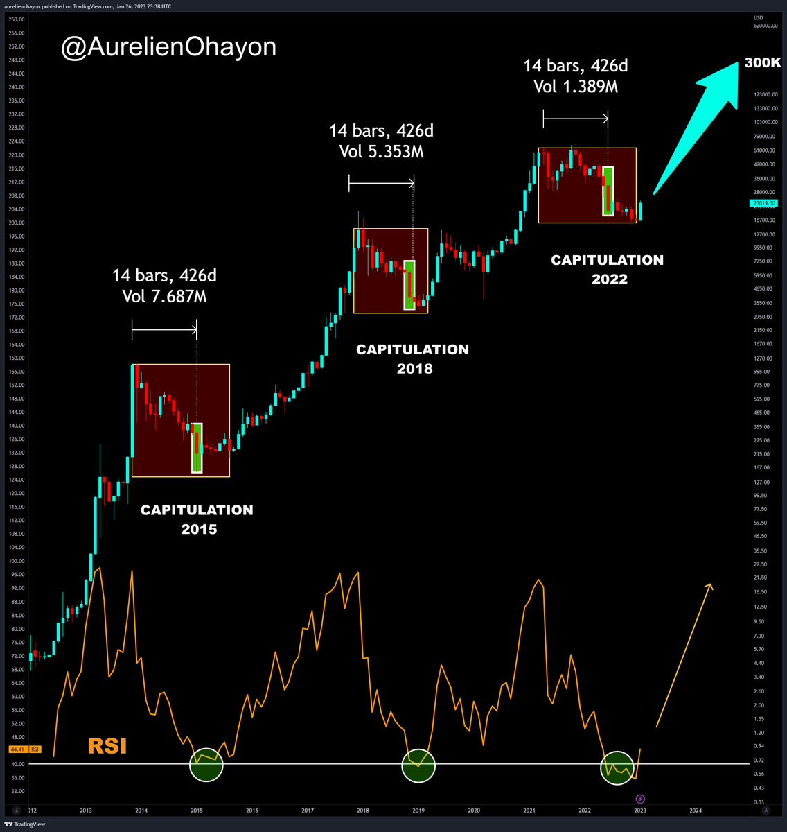 AO_btc_analyst's tweet photo. #BTC BULL RUN BEGINS.

Capitulations occur 14 months after peaks of bull runs. https://t.co/ps6TfaPHUz
