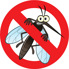 MaRenee25's tweet photo. Combatamos al mosquito #Dengue. #5Claves:
Voltear los recipientes, Eliminar criaderos, Retirar llantas, Tapar turriles, Cepillar depósitos útiles #VERTC. #AccionDeTodos https://t.co/x20f1Vd1Oe