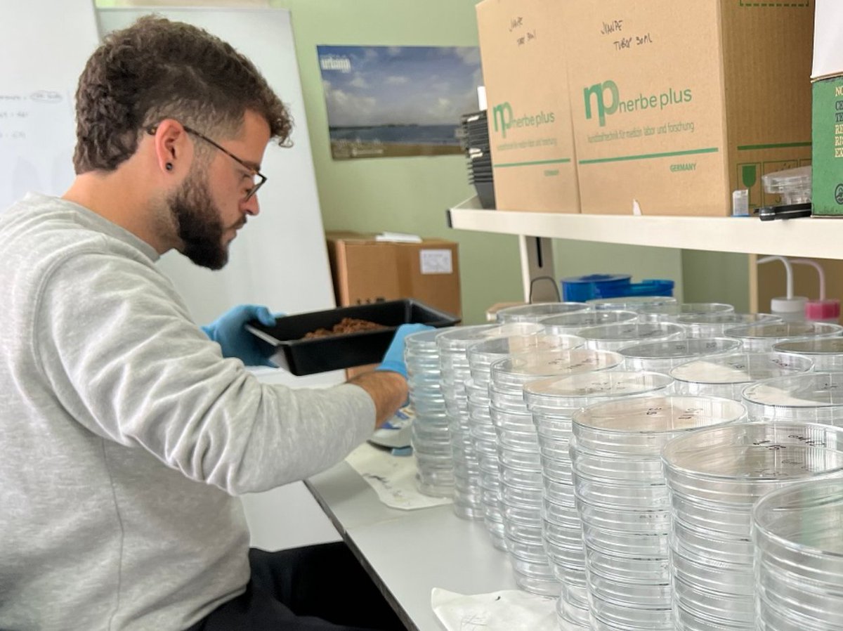 Aplican inoculantes #microbianos para acelerar la transición #ecológica de los #viñedos por <a href="/cei_A3/">ceiA3</a> bit.ly/3WF3BE8