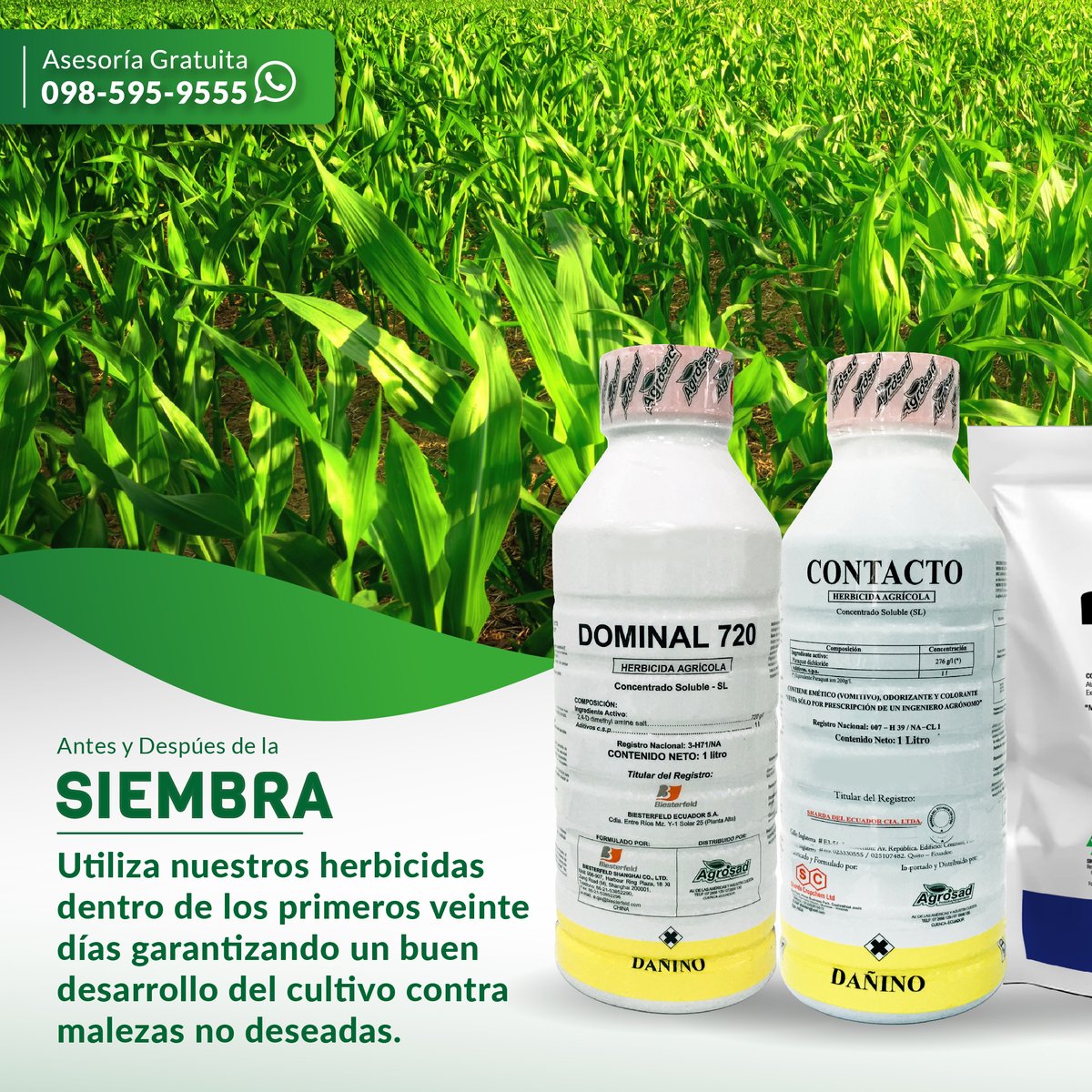 agrosad_ec's tweet photo. Garantiza un buen desarrollo de tu cultivo contra malezas no deseadas. 😉
¿Quieres asesoría personalizada?
👉 Escribenos aqui.
https://t.co/FELHR7Uwag
📲 098595955
.
.
.
#maix #maiz #Juntoalagricultor #ecuador #herbicidas #cultivos https://t.co/5V5Z1cdbia