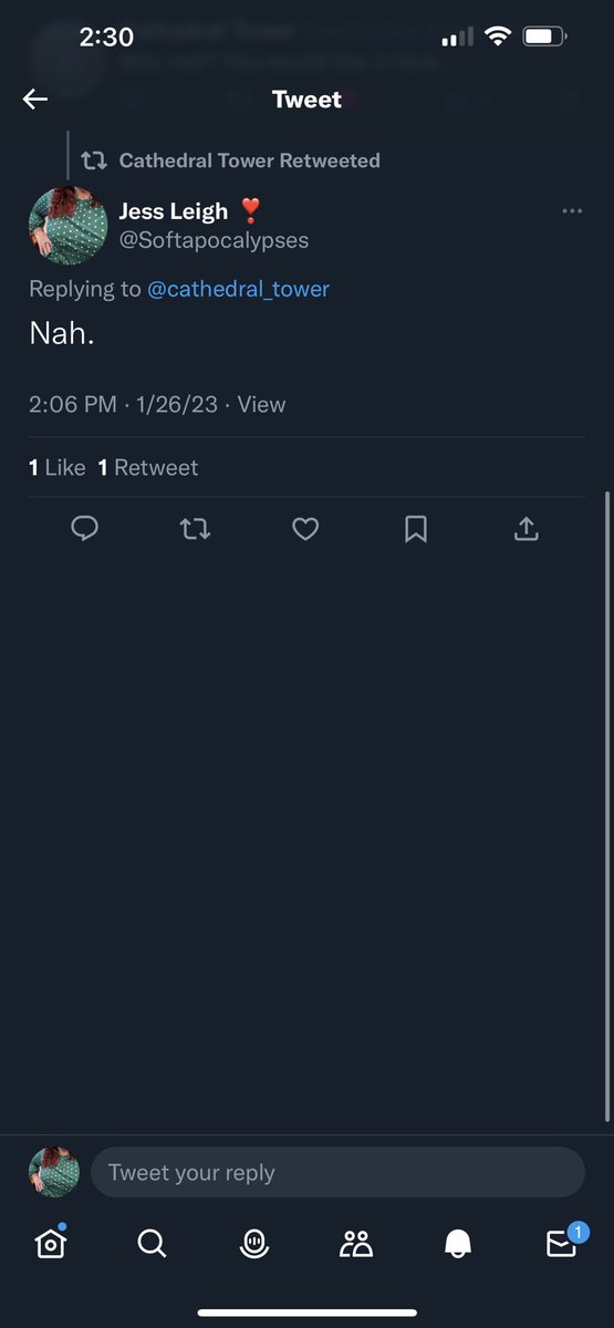 itsjessandart's tweet photo. Time to name and shame @cathedral_tower 

Hey guess what? Don’t do this. No means no. 

I write stories. I’m not interested in sexting you. https://t.co/9MQgS8mc3c