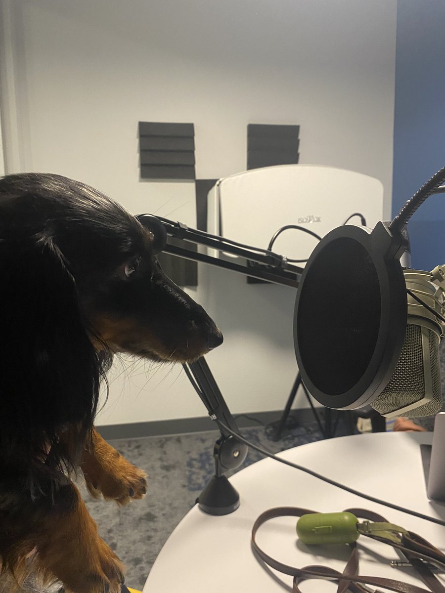 We have a special guest in the studio today! 🐕🎙