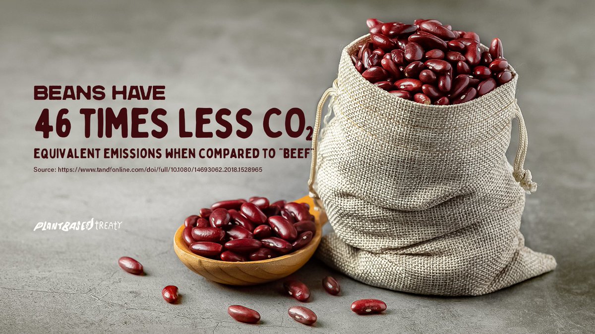 Beans have 46 times less CO2 equivalent emissions when compared to “beef".
#reduceCO2emissions
#plantbasedtreaty