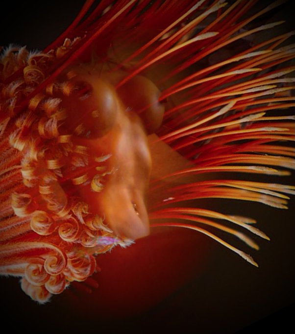 Let&rsquo;s Share Art! We all need some color in our life! #art #Soul #beautiful #flower #bodypaint #expression<a href="/tag/soul"class="tags"><span>#soul</span></a><a href="/tag/beautiful"class="tags"><span>#beautiful</span></a><a href="/tag/art"class="tags"><span>#art</span></a><a href="/tag/flower"class="tags"><span>#flower</span></a><a href="/tag/expression"class="tags"><span>#expression</span></a><a href="/tag/bo"class="tags"><span>#bo</span></a>