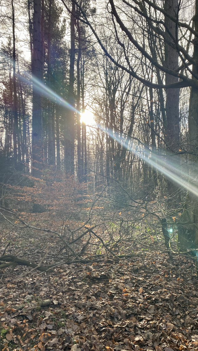 silverhills64's tweet photo. Nice stroll around #Causey - 4.5 miles, so Himself getting back to full fitness 🤗 https://t.co/HNm0bFlPse