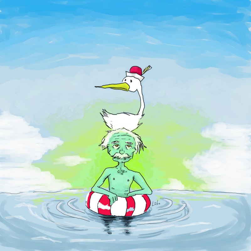 fato curioso - einstein nunca aprendeu a nadar.