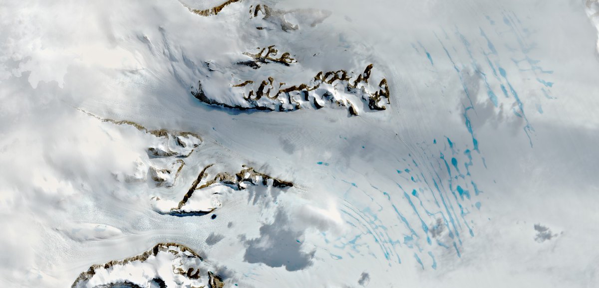 TU Delft Civil Engineering and Geosciences (@tudelft_ct) on Twitter photo ❄ Cold ice shelves in #Antarctica, which researchers initially thought would remain stable coming centuries, turn out to be vulnerable in the event of #globalwarming. Results appear today <a href="/NatureClimate/">NatureClimate</a>.
👉tudelft.nl/en/2023/tu-del…
<a href="/StefLhermitte/">Stef Lhermitte</a> <a href="/bert_polar/">Bert Wouters</a> <a href="/tudelft/">TU Delft</a> <a href="/UniUtrecht/">Utrecht University</a> ❄ Cold ice shelves in #Antarctica, which researchers initially thought would remain stable coming centuries, turn out to be vulnerable in the event of #globalwarming. Results appear today <a href="/NatureClimate/">NatureClimate</a>.
👉tudelft.nl/en/2023/tu-del…
<a href="/StefLhermitte/">Stef Lhermitte</a> <a href="/bert_polar/">Bert Wouters</a> <a href="/tudelft/">TU Delft</a> <a href="/UniUtrecht/">Utrecht University</a>