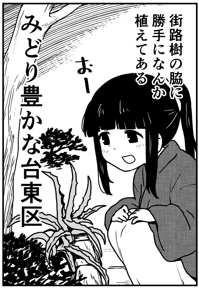 花壇かな? 