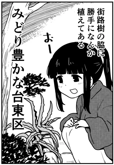 花壇かな? 