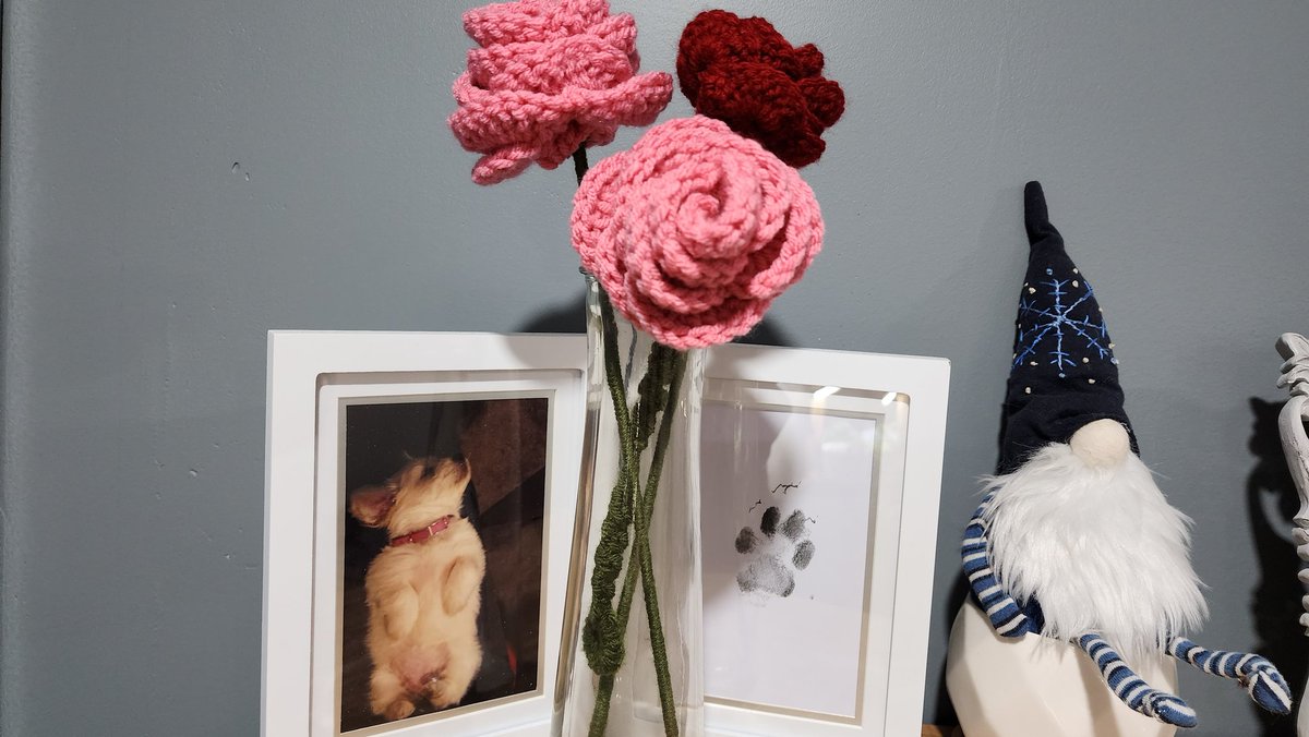 abt_mrsholmes's tweet photo. Valentines Day is coming up, don't forget to order your flowers from #FireandFern #pod4 #ABTatUFV https://t.co/1Xvvl8x3vz