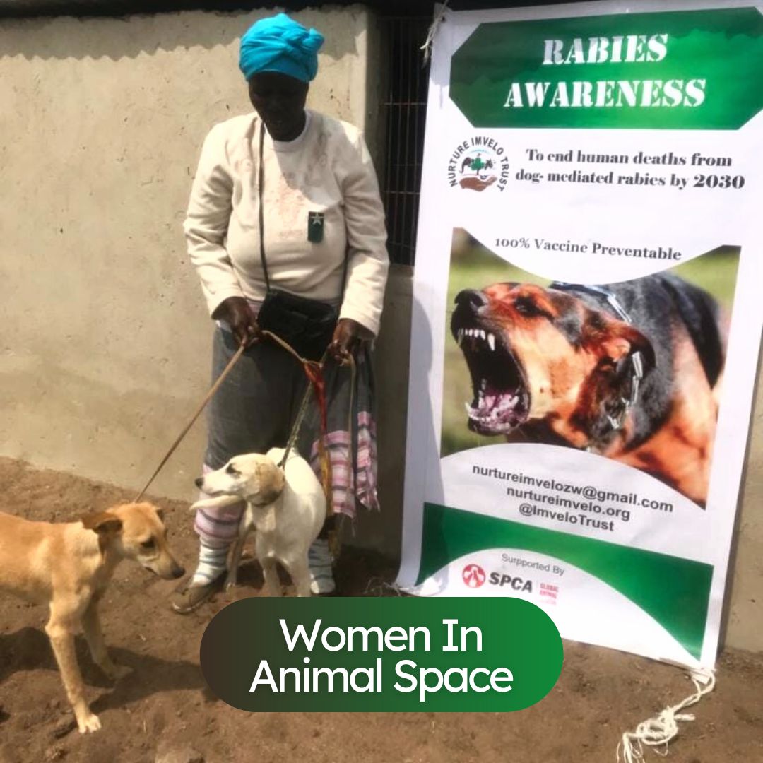 ImveloTrust's tweet photo. Women in gender spaces.
#CageFreeFarmers #nurtureimvelo #henwelfare
#CagefreeHensZw #welfareorganization #welfare
#AnimalWildlife #AnimalWelfareWeek #animalwelfare
#cagefreeegg #cagefreeeggs https://t.co/YPxjiFhYL6