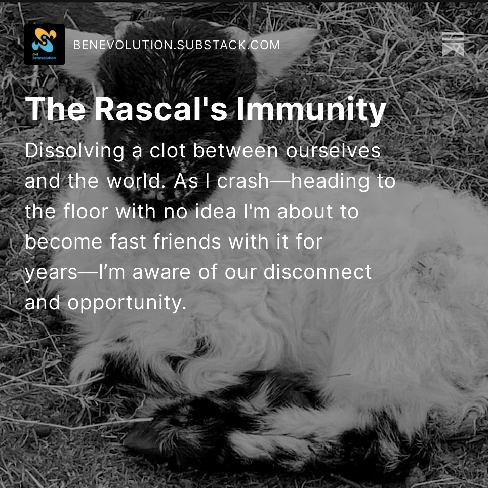 simondivecha's tweet image. I started a substack. This is Act 1, Scene 1, of The Rascal, the Mongrel and the Mutant: benevolution.substack.com/p/the-rascals-…