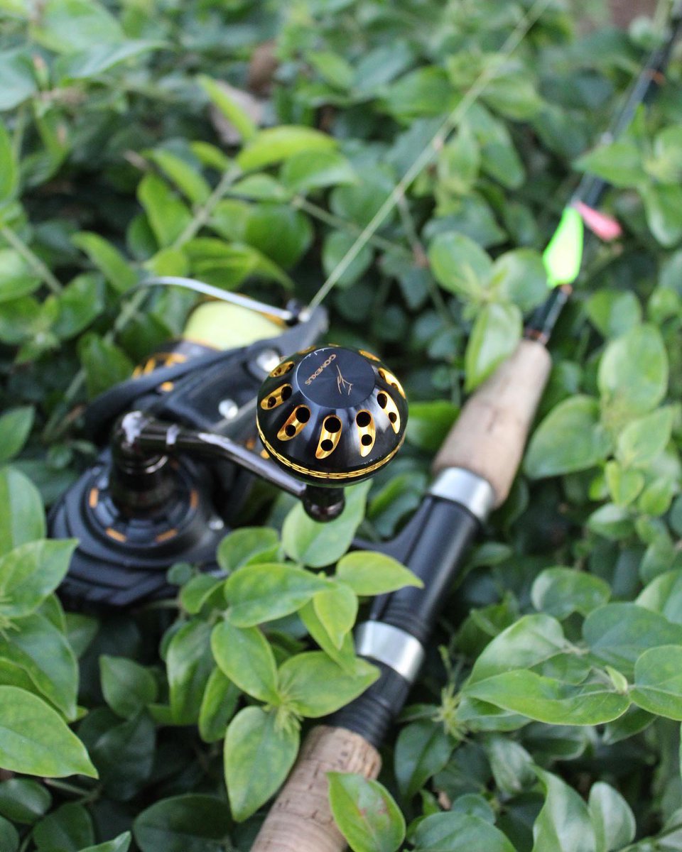 Gomexus_US's tweet photo. Spring is coming

📷@jt_fishing7 https://t.co/3I7vvx2Ap9