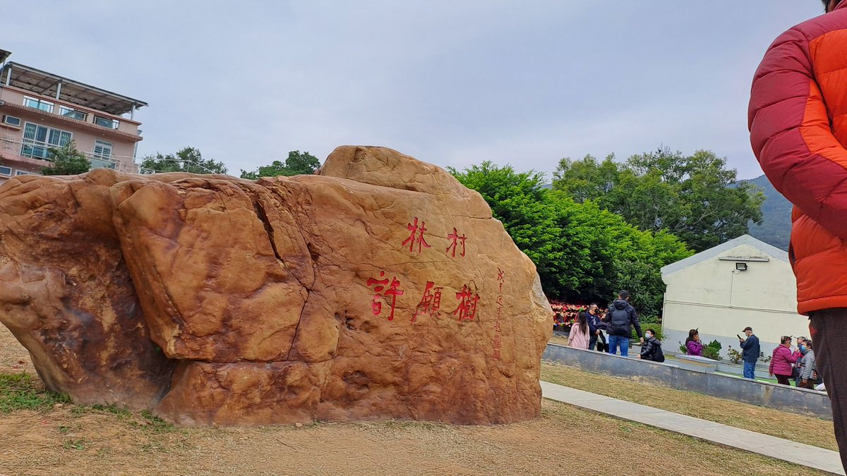 HN9680's tweet photo. 林村鄉 - 林村許願樹~
happy lunar new year 2023
#Lam_Tsuen_Wishing_Tree #HK #hkbus #Volvo #b8l #b9tl #2023NewYear https://t.co/qjK8eJvMaW