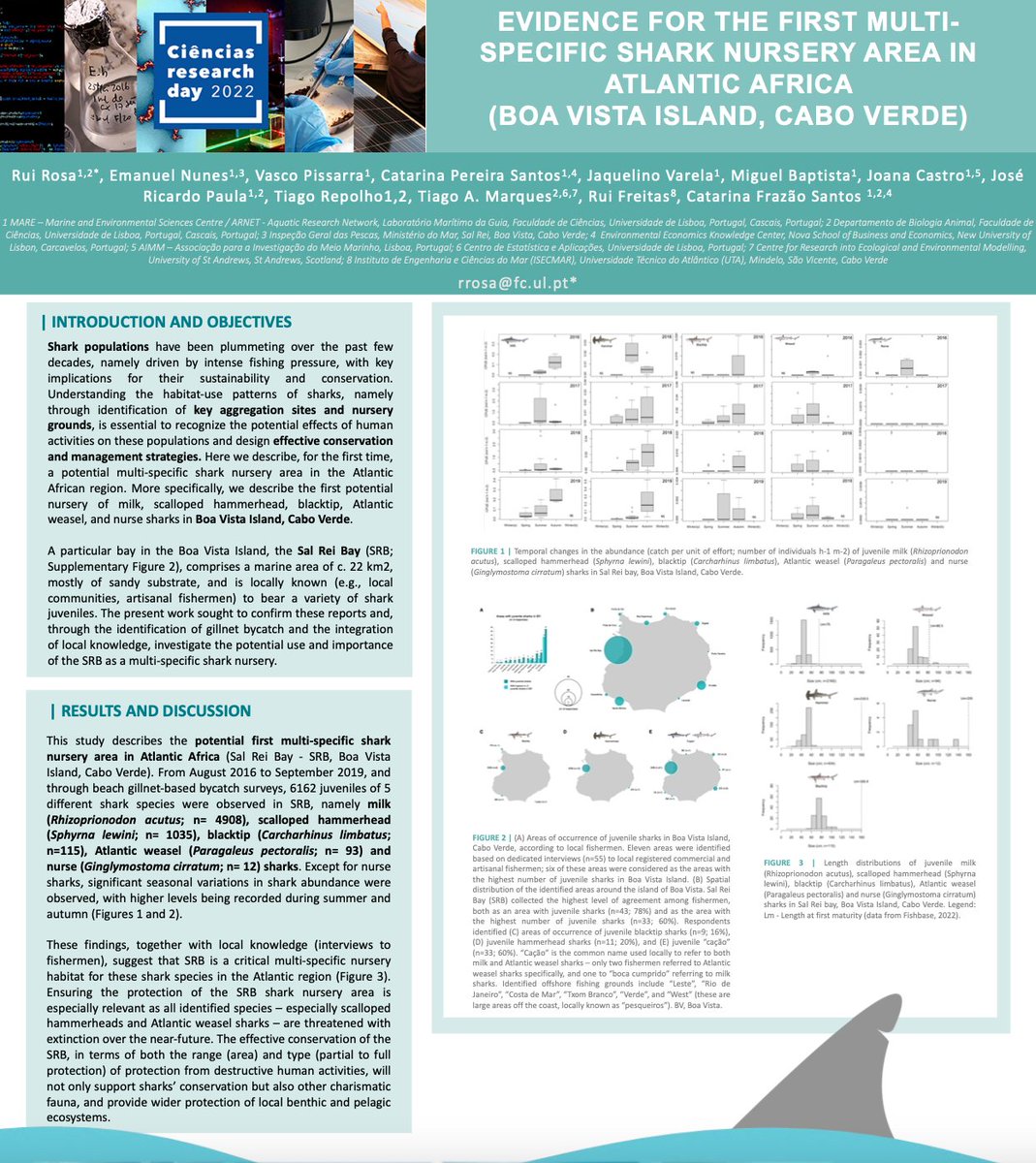 ProjectNgandu's tweet photo. Work developed under #NGANDUproject on the #shark nursery area of Boa Vista Island, Cabo Verde, was presented last October at the Ciências Research Day 2022 @FC_UL, in Lisbon. The full paper will be out next week!!🦈🦈 #ResearchDay22 @MARE_centre https://t.co/E4GSYO3mqv