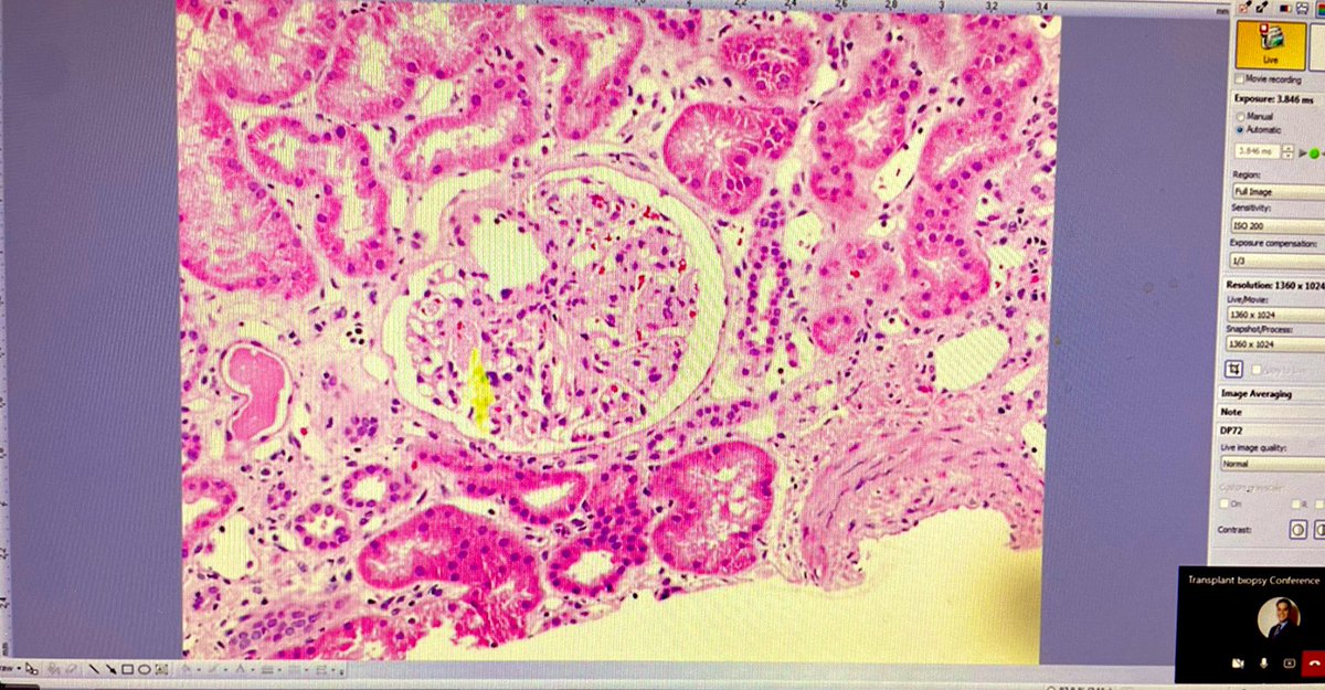 Pablo Portocarrero tweet media