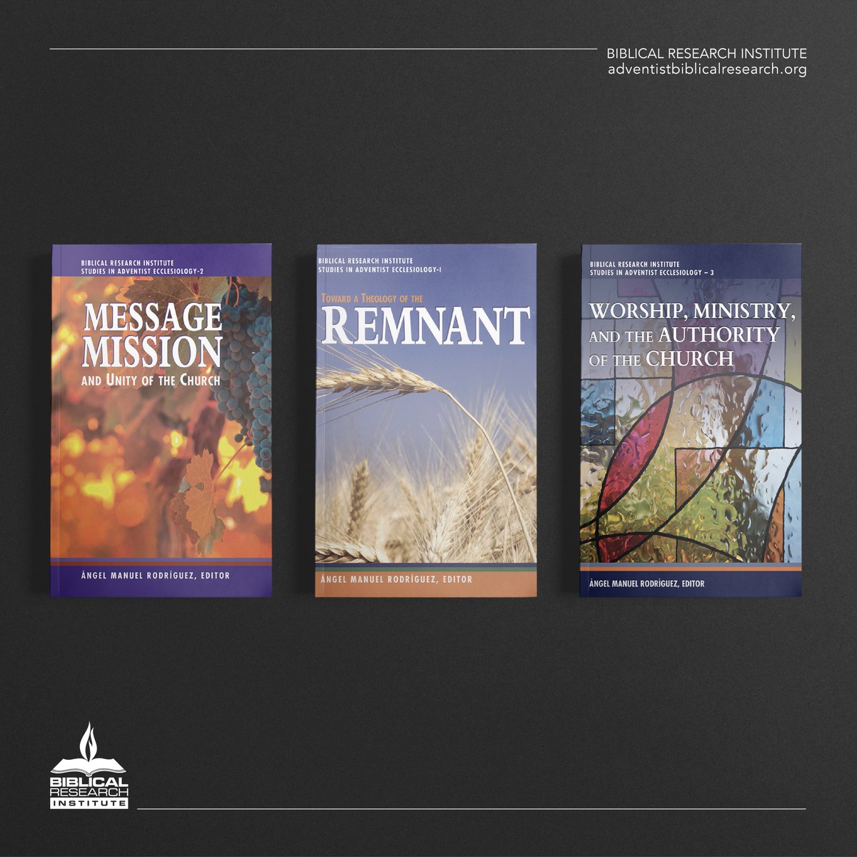 Edited by Ángel Manuel Rodríguez, retired director of the BRI, all three volumes include biblical, theological, historical, and eschatological perspectives on the topics they examine.
adventistbiblicalresearch.org/product/eccles…

#biblicalresearchinstitute #ecclessiology #Adventistpublications
