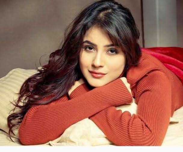 _abhayshukla's tweet photo. Happy birthday to the sparkling and vivacious .@ishehnaaz_gill 🎉🥳

Wishing you a year full of joy, success, and endless possibilities. 

 #HBDShehnaazGill https://t.co/tk4xVdfoZ4