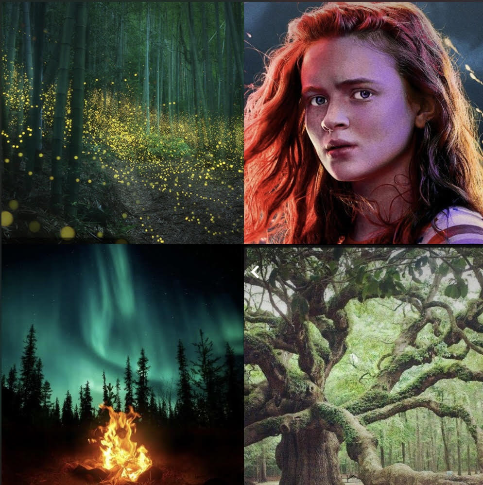 JourdanGibsonTX's tweet photo. Vanishing forest fires, a glowing cave deep in the woods, awaking on a mountaintop at midnight-all things 13yo twins Henry &amp; Samantha didn't expect from summer camp. First loves &amp; campfires quickly turn into fighting to save lives #KidLitPit #MG #UMG https://t.co/3vyKkkCopH