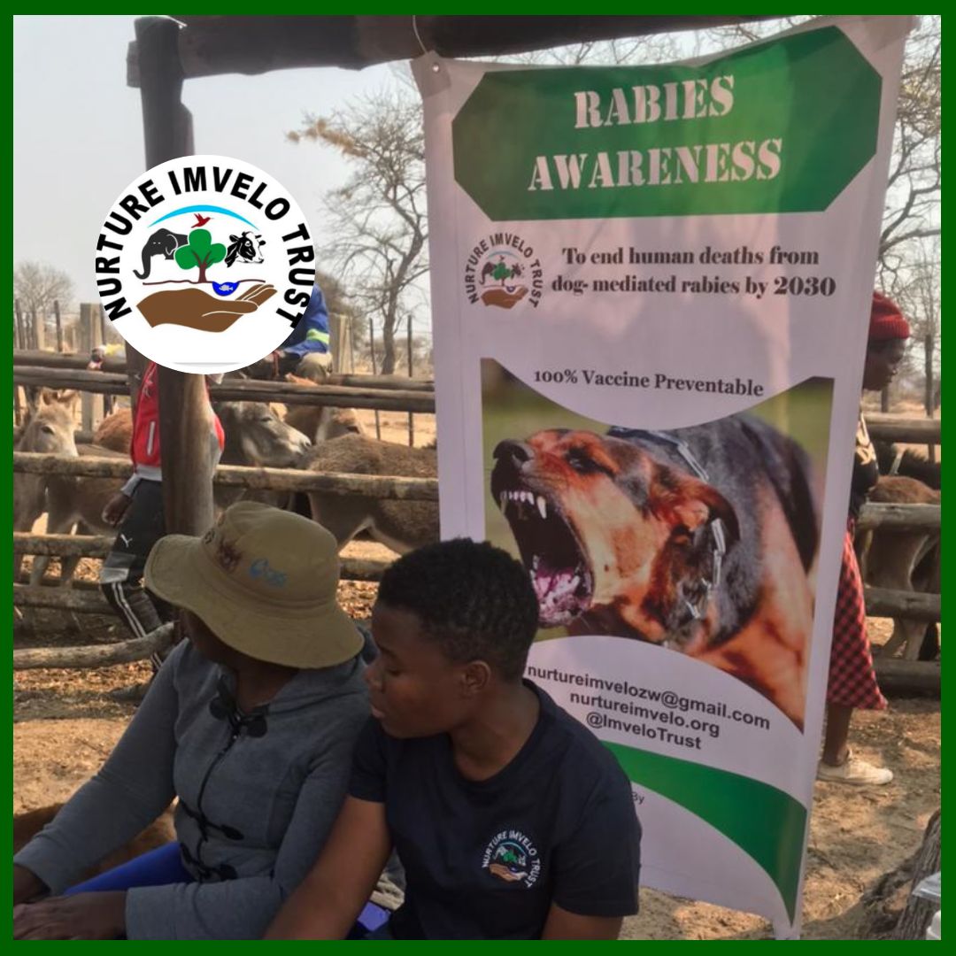 ImveloTrust's tweet photo. Women in gender spaces.
#CageFreeFarmers #nurtureimvelo #henwelfare
#CagefreeHensZw #welfareorganization #welfare
#AnimalWildlife #AnimalWelfareWeek #animalwelfare
#cagefreeegg #cagefreeeggs https://t.co/fGXcwLxujF