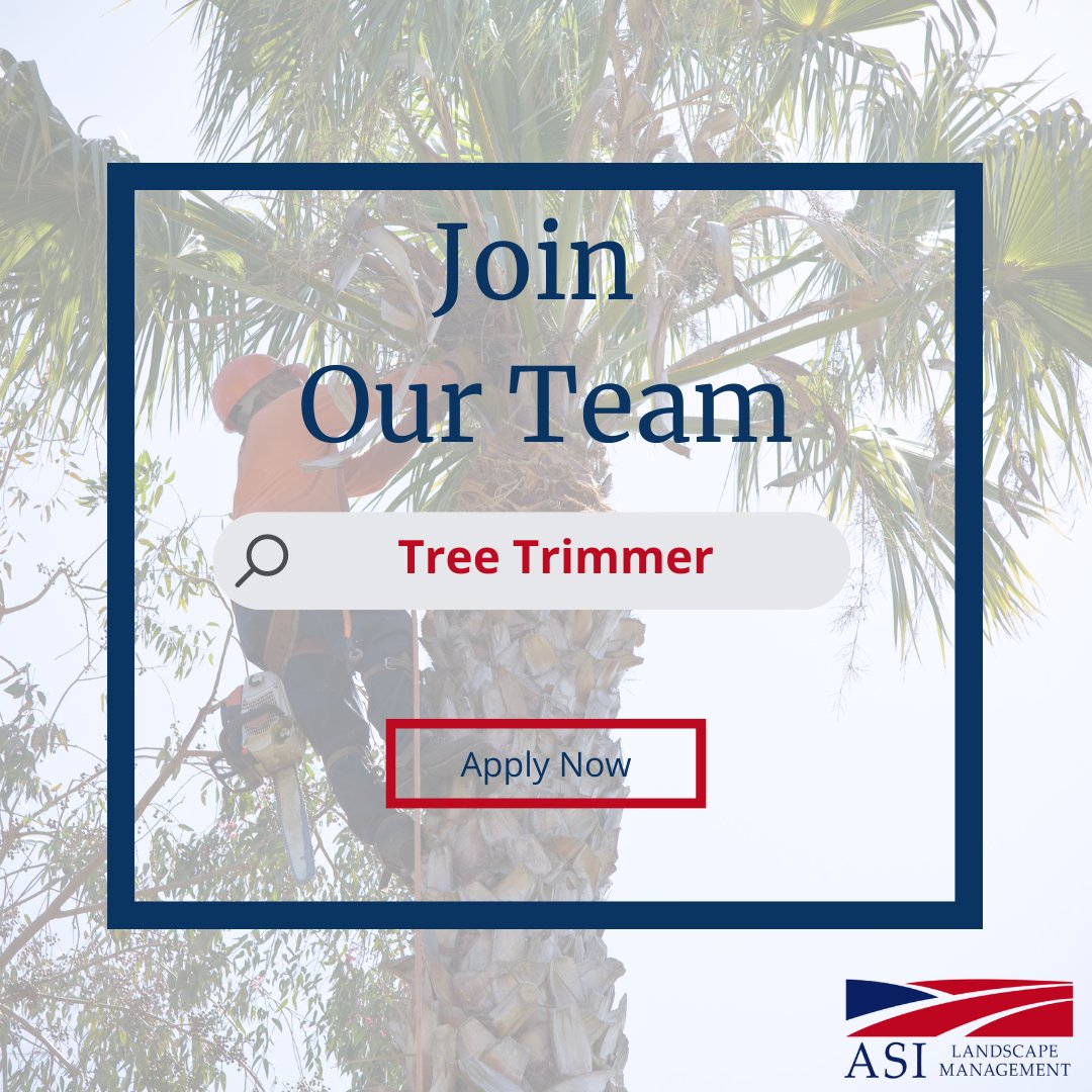ASILandscapeMgt's tweet image. 🗣️ Our sister company, Ameri-Tree is hiring an experienced Tree Trimmer! The ideal candidate is prompt, reliable and has excellent communication skills. If this sounds like you, please apply by clicking below. #TreeTrimmer #AmeriTree  ow.ly/uxR850MBs6W
