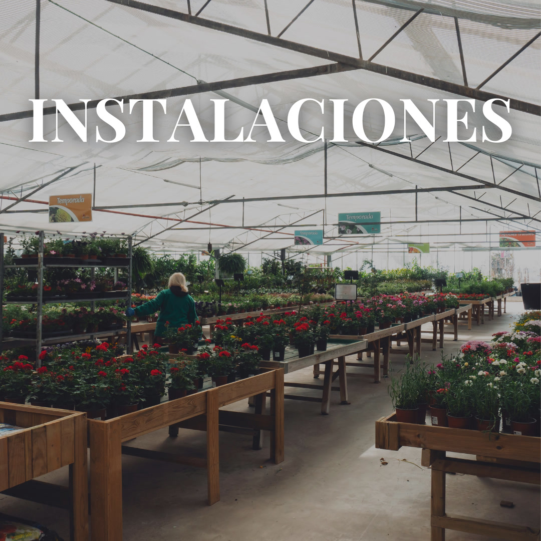 ViverosAznar's tweet photo. Grandes secciones en las que perderte viendo tus plantas favoritas, sus variedades y características. Ven a visitar nuestras instalaciones 
¡Te esperamos!
.
#floresaznar #viverosaznar #flores #plantas #vivero #viverozaragoza #zaragoza #zgz #plantlover https://t.co/SOIrOYCwBW
