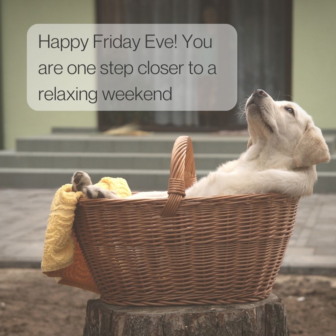 You've almost made it through another week! It's time to get ready to kick those feet up and relax. #fridayeve #friyay #weekendcalling #relaxation #columbiasc #greenvillesc