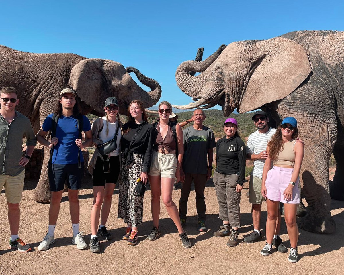 hotspots2c's tweet image. 🧳ᗯOᖇᖇY ᒪESS, ᗩᗪᐯEᑎTᑌᖇE ᗰOᖇE.. 🐆 🐘 🦒  
Just book &amp;amp; go = Your biggest worry is choosing your #SafariSelfie outfit :) 
✰✰✰✰✰ #TripAdvisor review by Siem 
&quot;..𝘌𝘷𝘦𝘳𝘺𝘵𝘩𝘪𝘯𝘨 𝘸𝘢𝘴 𝘢𝘳𝘳𝘢𝘯𝘨𝘦𝘥 𝘱𝘦𝘳𝘧𝘦𝘤𝘵𝘭𝘺 𝘧𝘰𝘳 𝘶𝘴 &quot; 

&amp;gt; hotspots2c.co.za/ideas/garden-r…