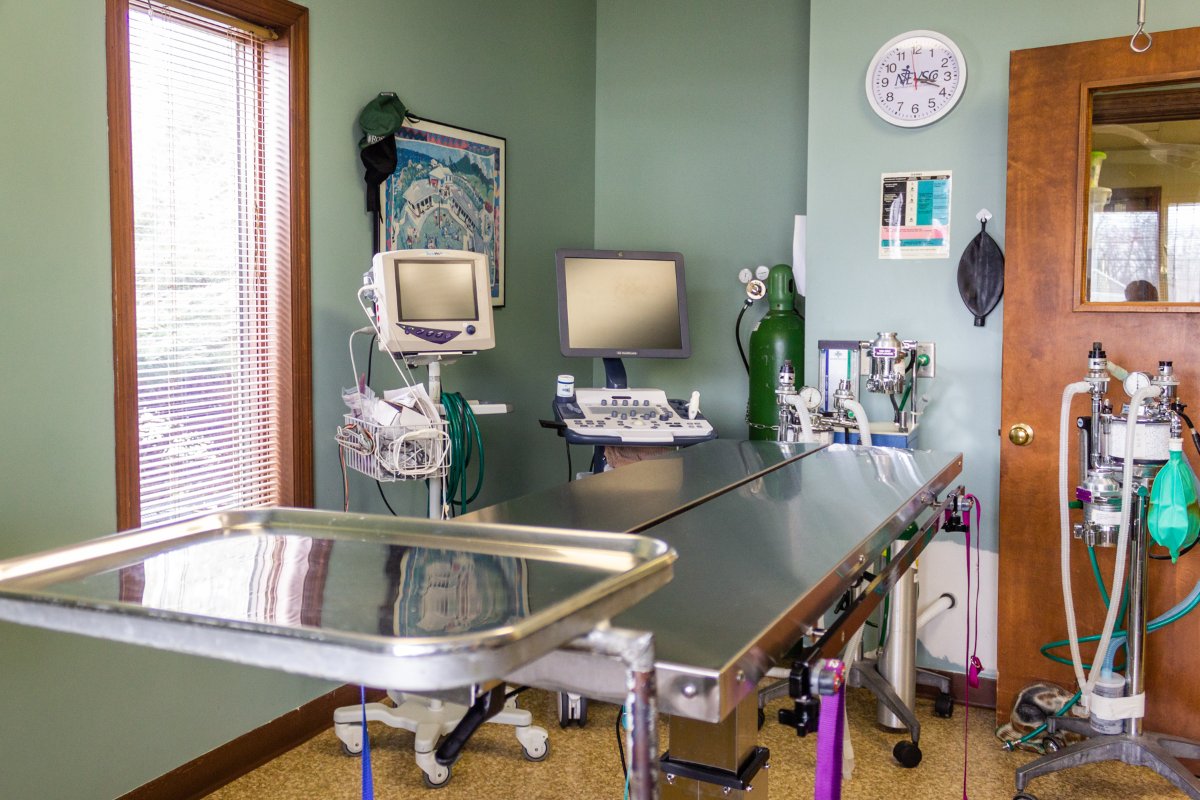 Phelps Veterinary Hospital tweet media