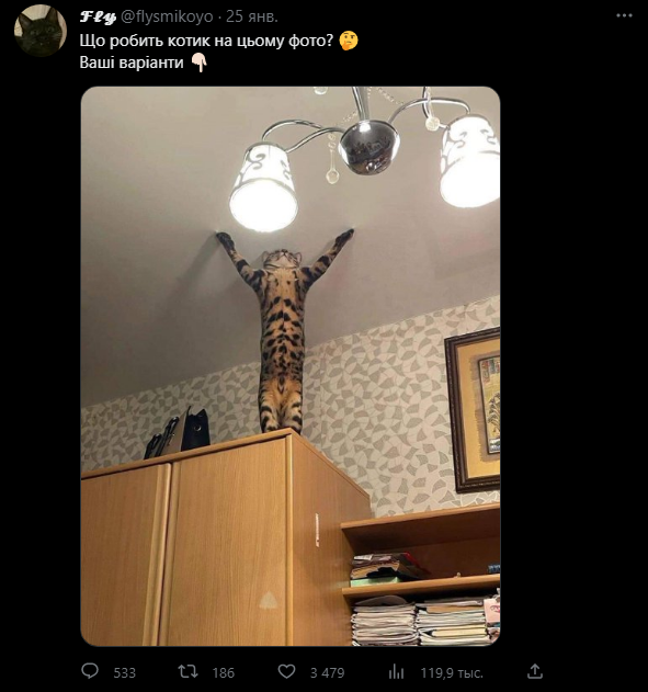 NotaKuroi's tweet photo. зашел в казалось бы милый твит. Захотел пошутить про Солера, но решил полистать тред, точно ли никто так не пошутил. Закрыл тред. https://t.co/uqKcjyxNJg
