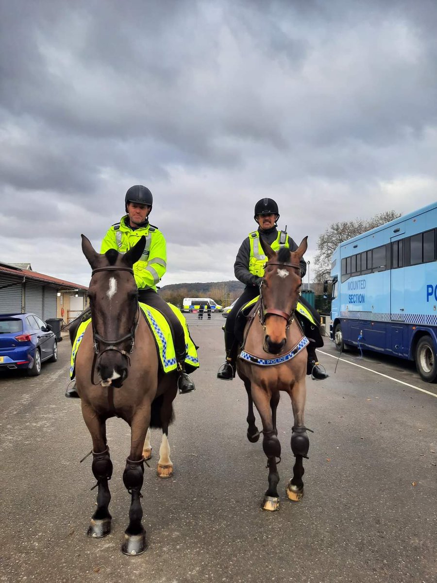 ASPoliceHorses's tweet photo. Allan and Tyson have been put on a local patrol today 🐴🐴  they also got the chance to meet the Southmead Neighbourhood Team #localpatrol #handsomeboys https://t.co/qmKCYWjCJP