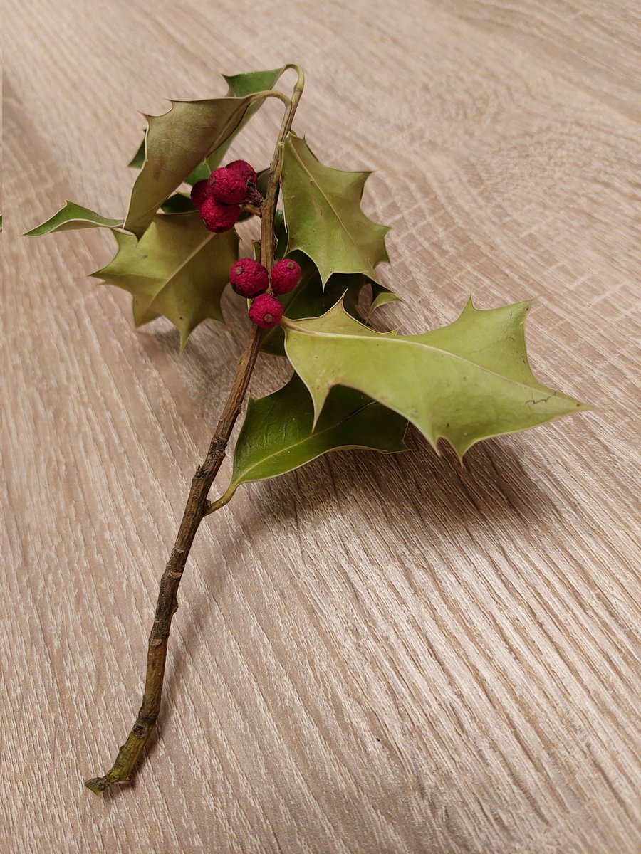 LPenkiller's tweet image. The fairies have welcomed me in my new place. Found this in front of my door yesterday 🤩😍✨️
#folklore #storytelling #nerd #Ireland #Austria #magic #nature