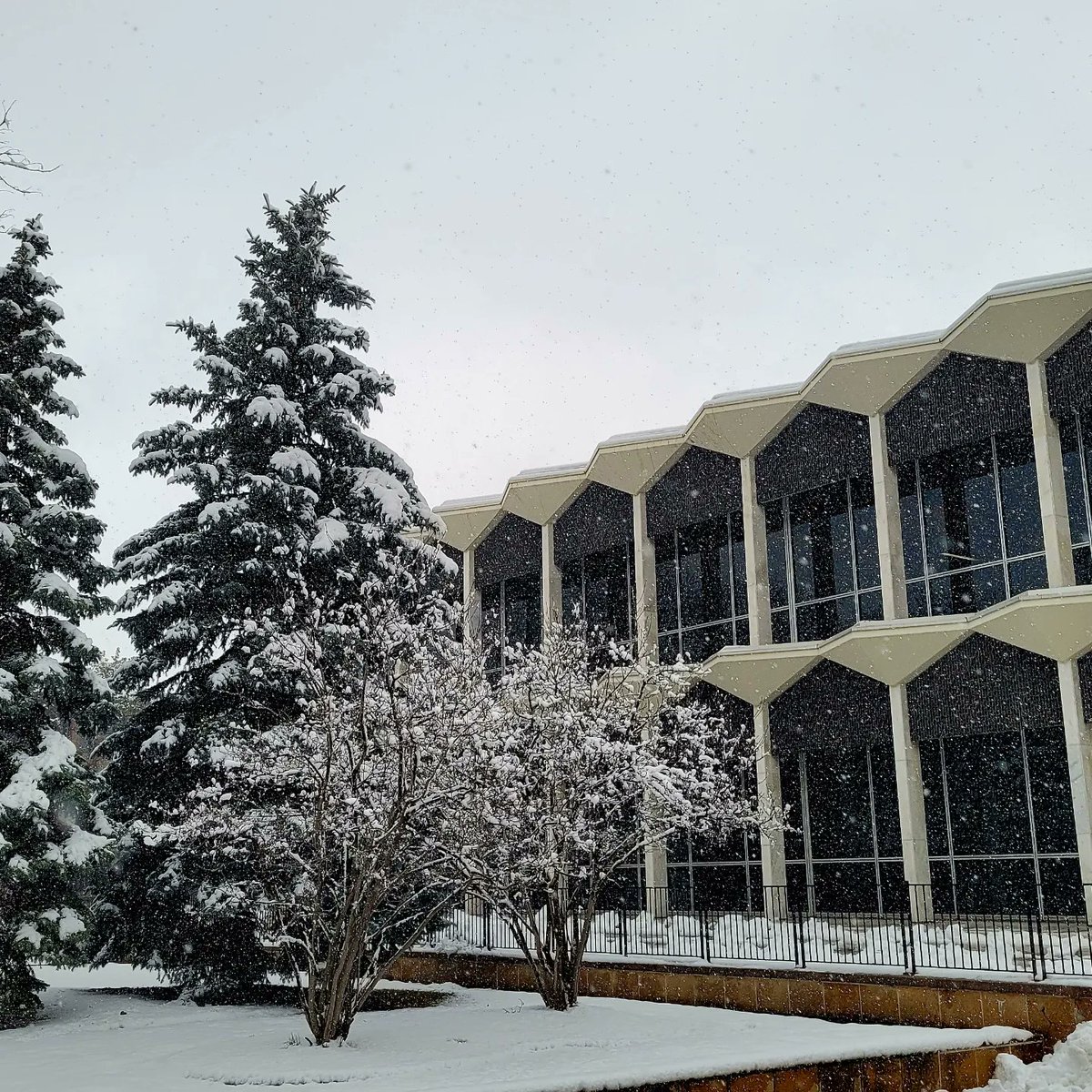 WayneGradSchool's tweet photo. A dusting for your already winter wonderland @waynestate. ❄️☃️ #letitsnow #winterindetroit https://t.co/5Vx5on5WXJ