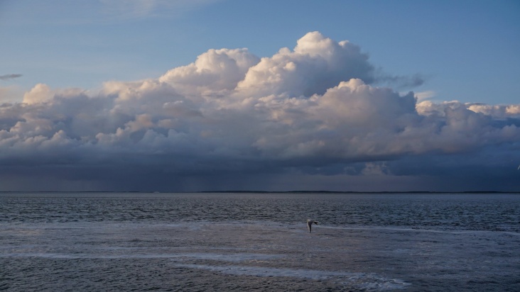 Droog en rustig weekend, volgende week bij vlagen guur weer. Bron afbeelding: OnweerOnline onweer-online.nl/forum/topic/48… #winter #mist #regen