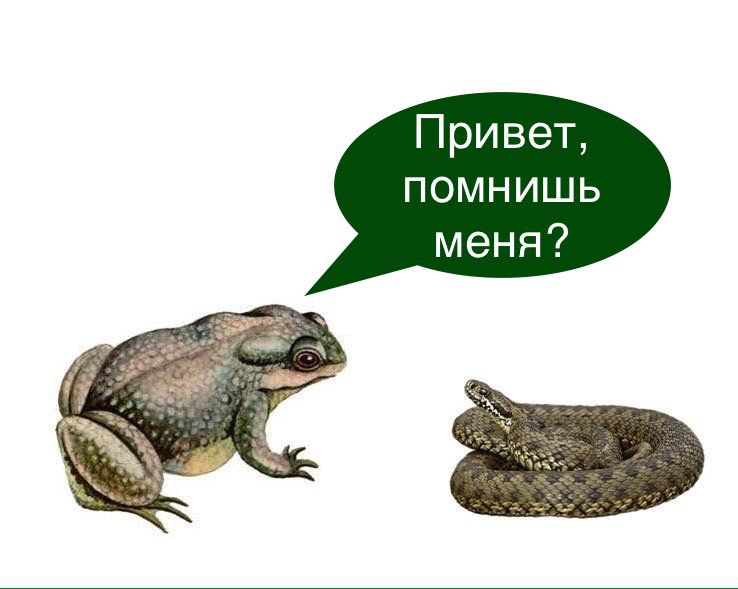 Перепалка Гиркина и Рогозина забавна.